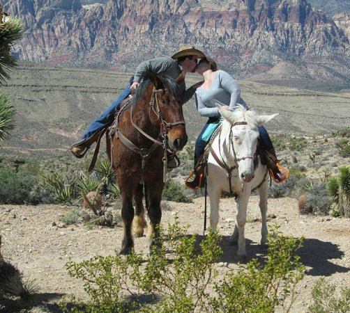 Las Vegas Horse Ride: Red Rock Canyon Sunset BBQ Dinner Tour
